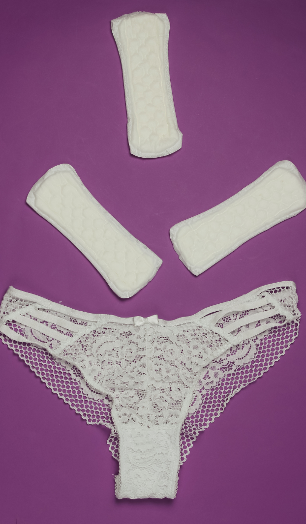 Culottes Menstruelles Révolution Écologique et Santé