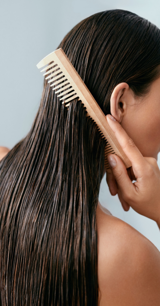peigne-cheveux peigne-cheveux