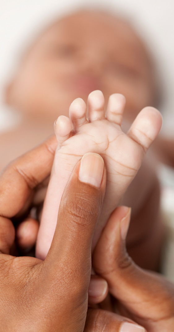 pied-bébé pied-bébé