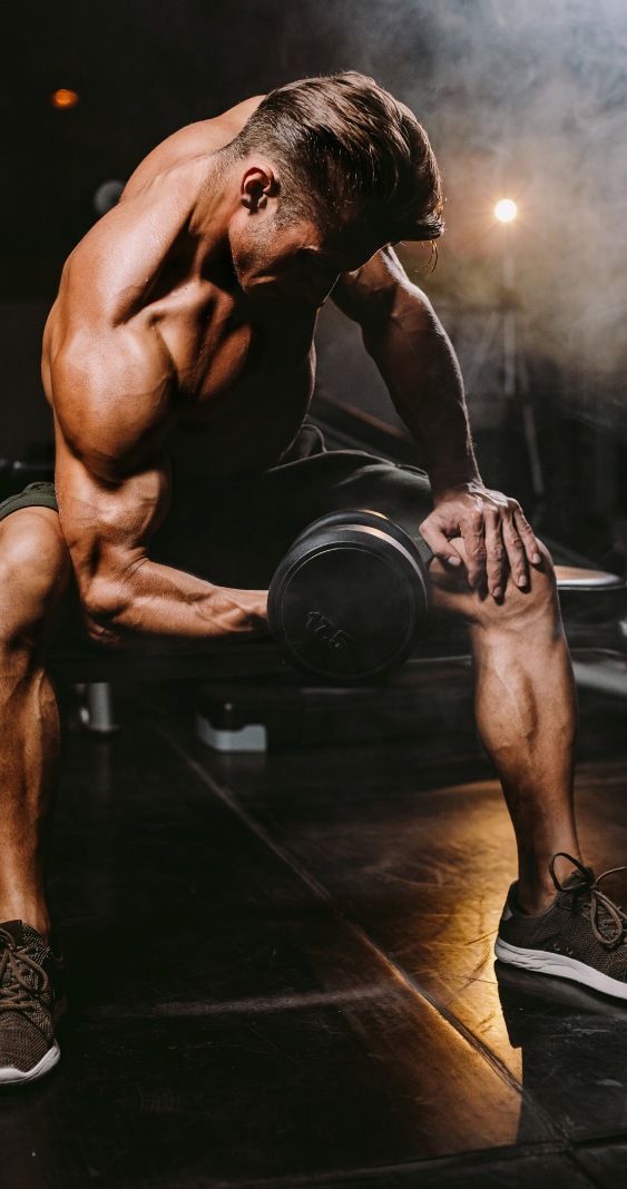 musculation musculation