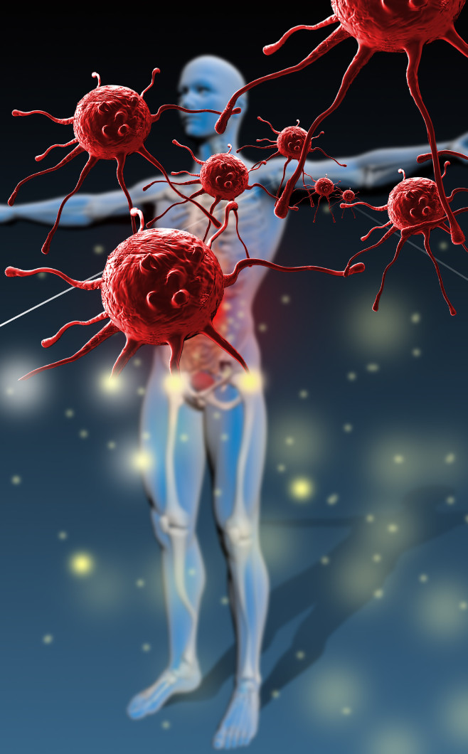 virus virus