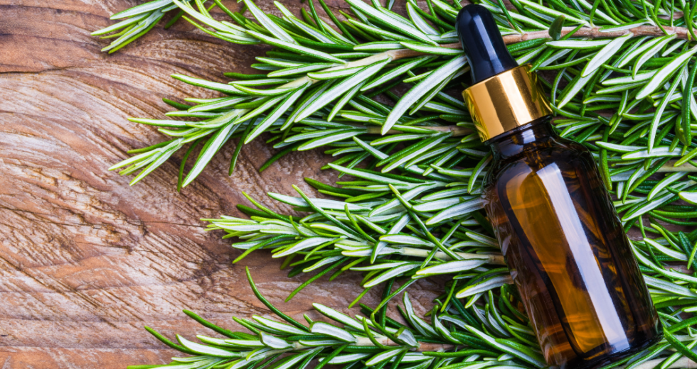 Romarin pour Cheveux : Découvrez la Recette Miracle