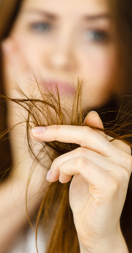 shampoing-cheveux-secs shampoing-cheveux-secs