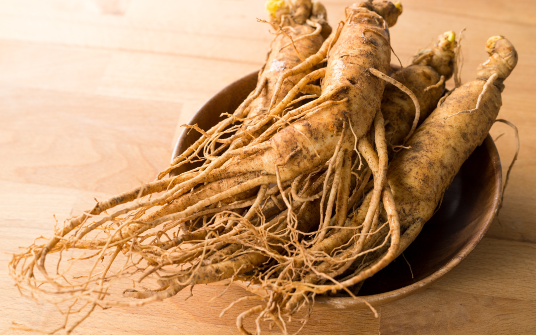 Découvrez les Bienfaits du Ginseng pour la Récupération Physique et la Réduction de la Fatigue