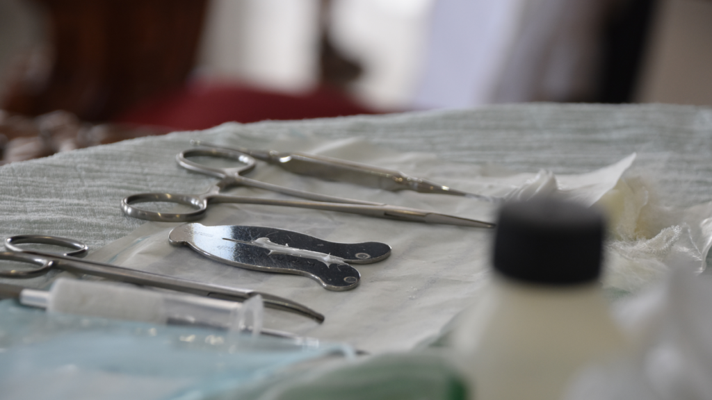 Circoncision Un Examen Critique Entre Tradition et Science