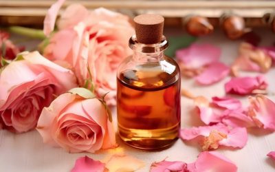 Adopt, la Révolution Beauté à Petit Prix Qui Conquiert la France